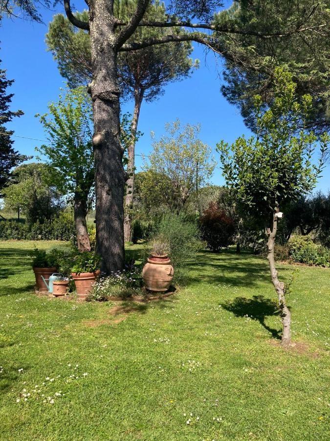 Tenuta Poggio Alla Farnia Fauglia Exterior foto